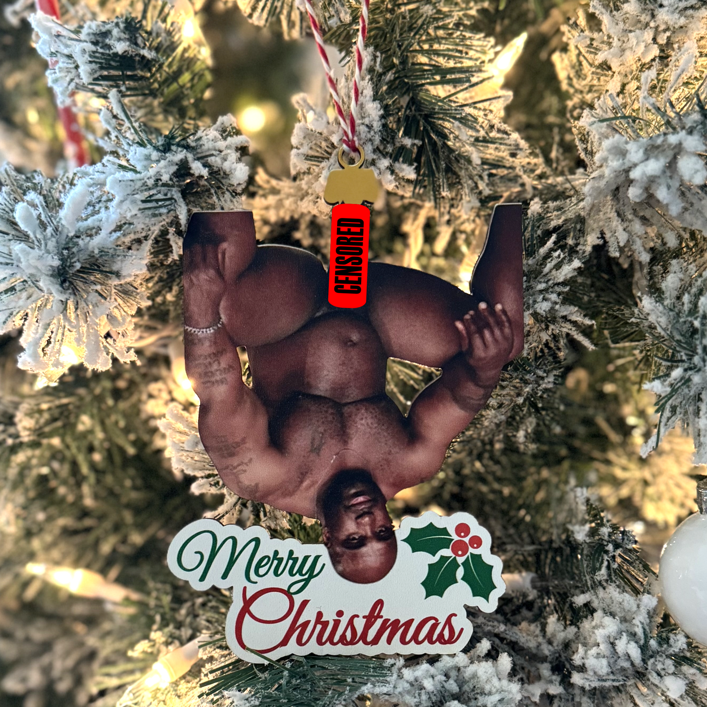 Barry Hanging Christmas Ornament